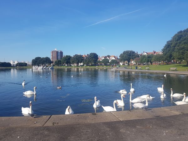 Picture of Canoe Lake
